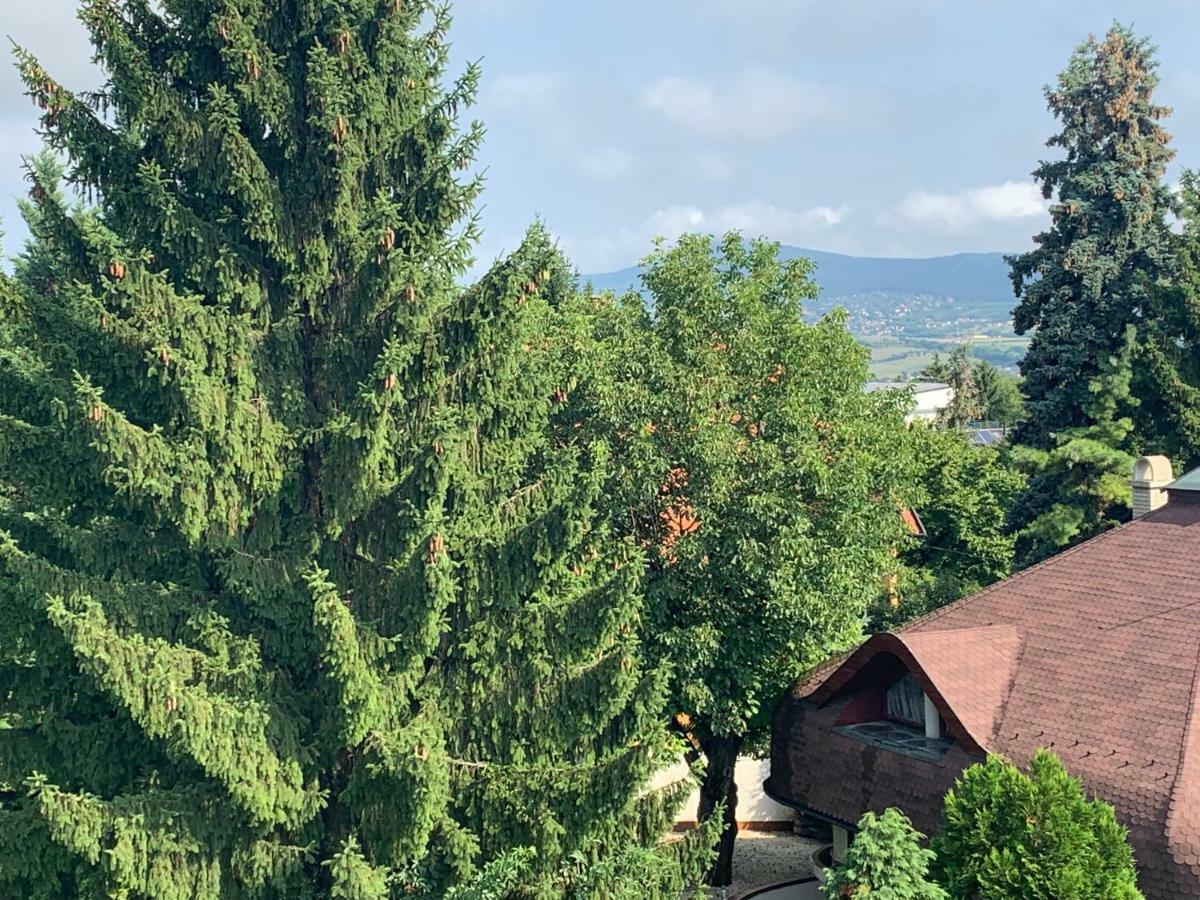 Maharaja Mountain Palace With Free Privat Parking And Garden Budapest Luaran gambar